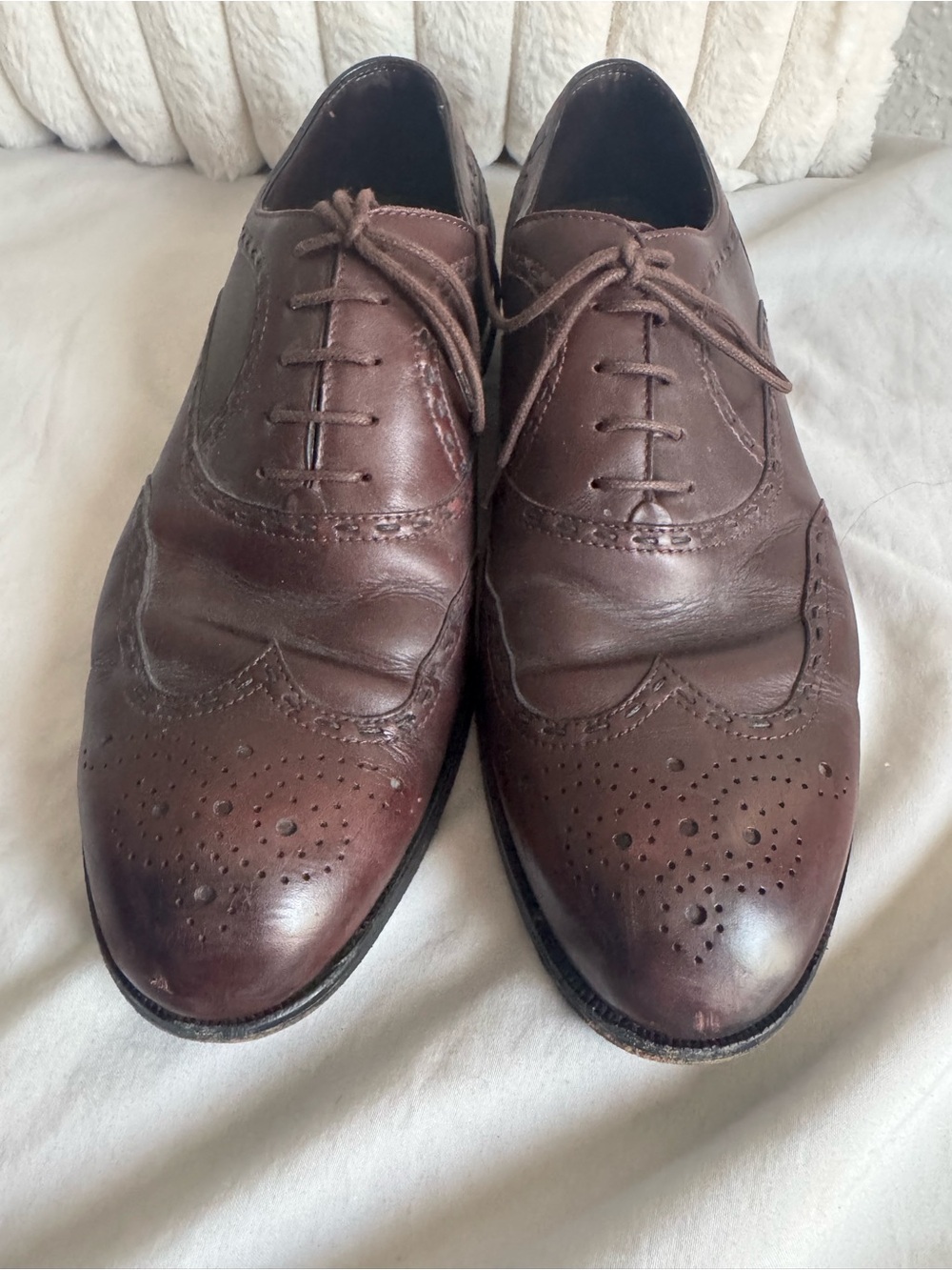 Bottega Veneta Burgundy Wingtip Brogue Lace-Up Oxfords